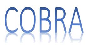 COBRA Administration Webinar for Advisors